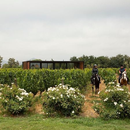 Vibo Wine Lodge At Viu Manent Santa Cruz Εξωτερικό φωτογραφία