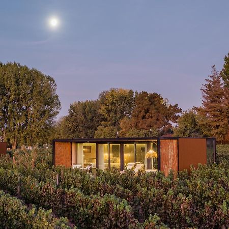 Vibo Wine Lodge At Viu Manent Santa Cruz Εξωτερικό φωτογραφία