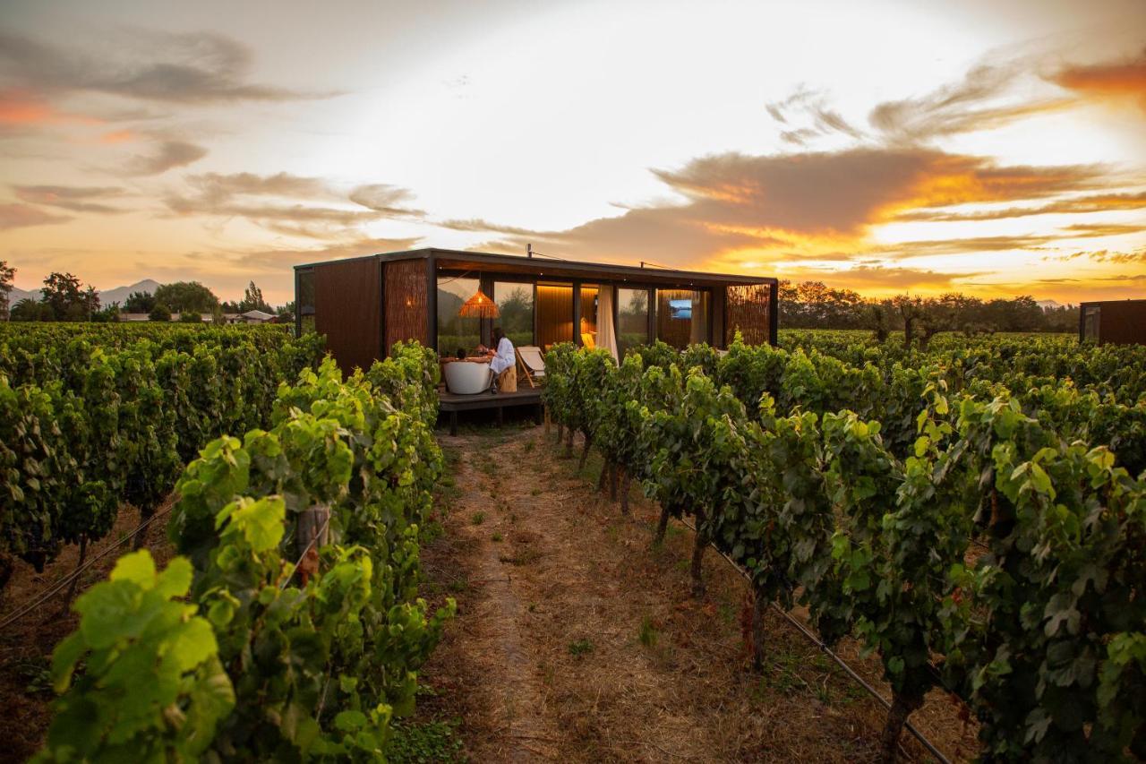 Vibo Wine Lodge At Viu Manent Santa Cruz Εξωτερικό φωτογραφία