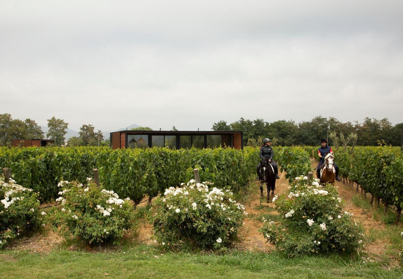 Vibo Wine Lodge At Viu Manent Santa Cruz Εξωτερικό φωτογραφία
