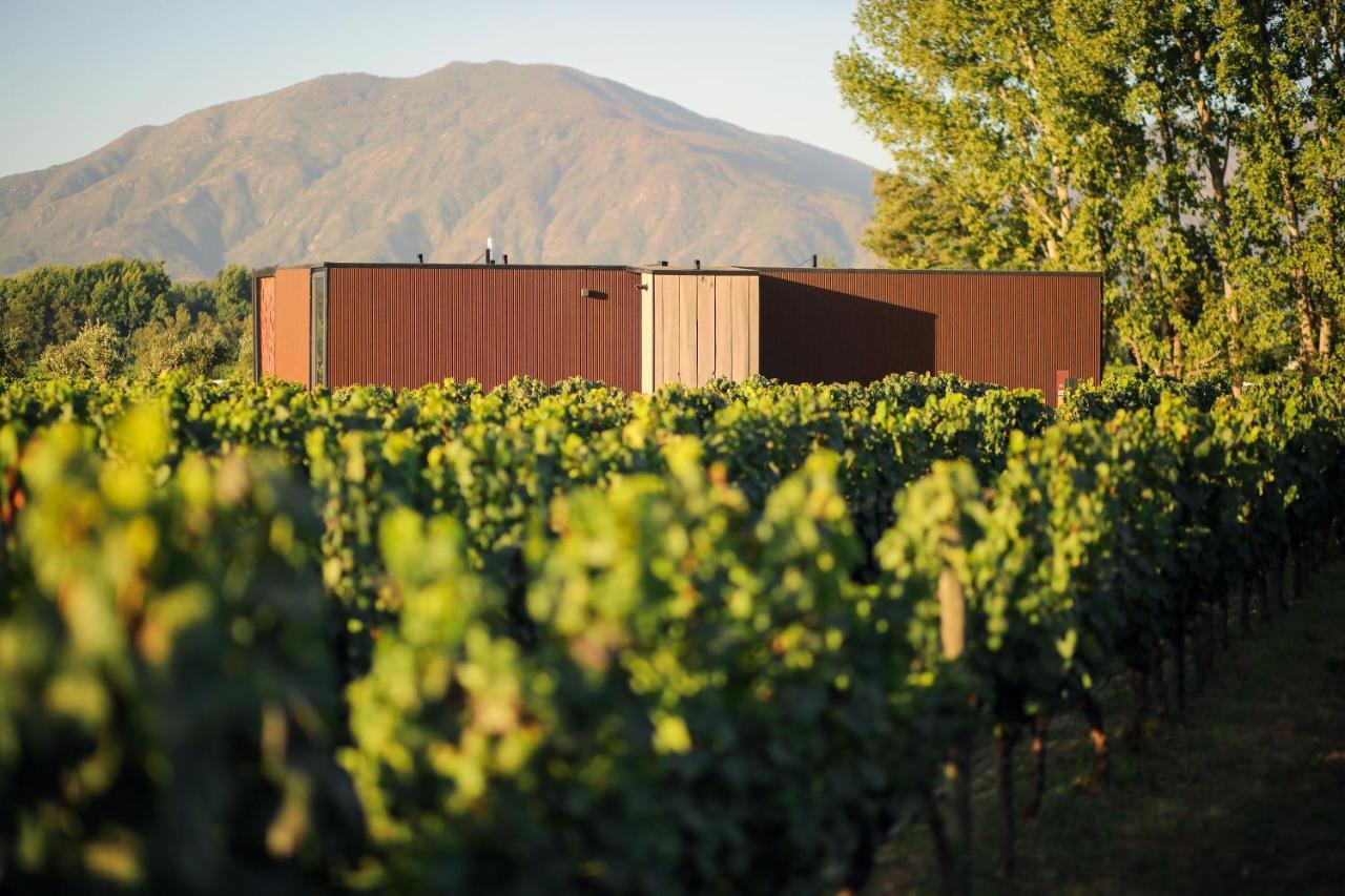 Vibo Wine Lodge At Viu Manent Santa Cruz Εξωτερικό φωτογραφία