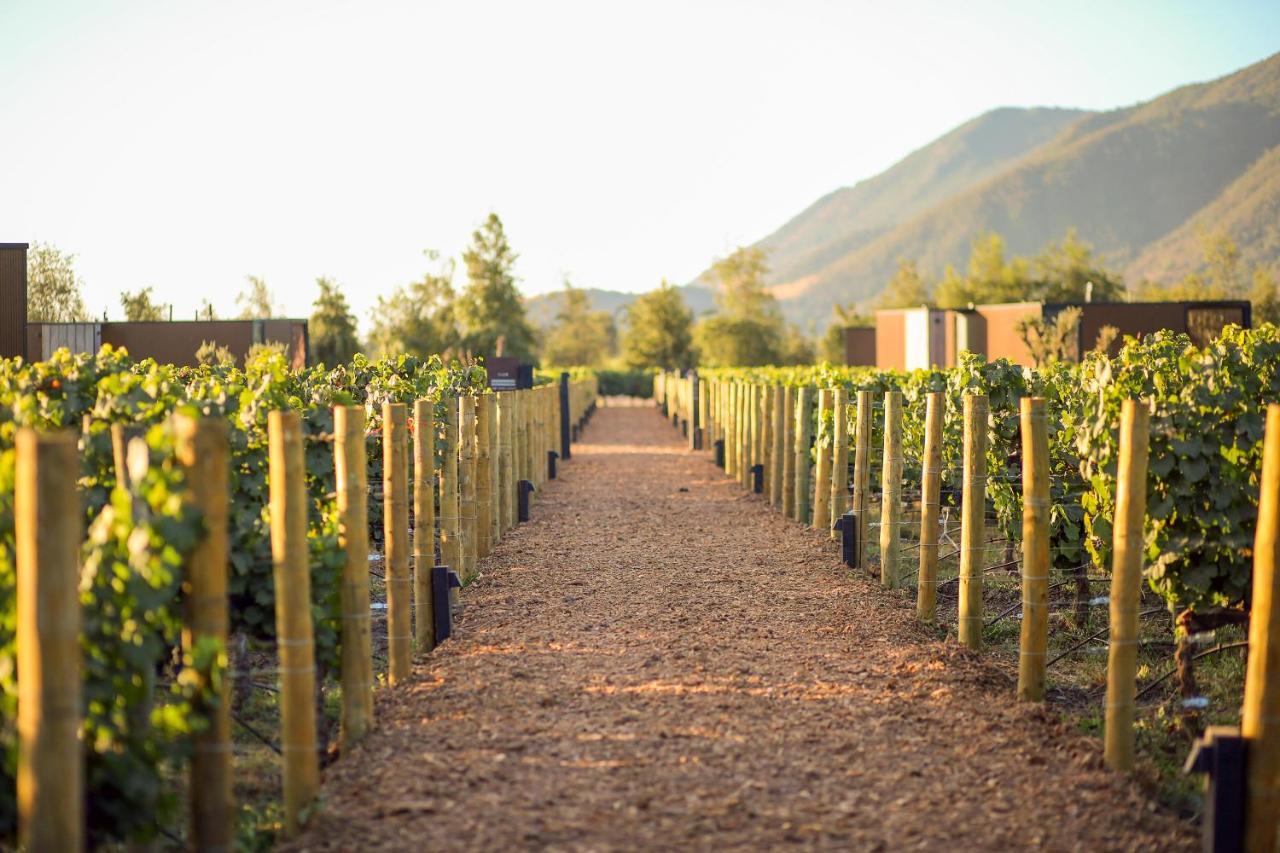 Vibo Wine Lodge At Viu Manent Santa Cruz Εξωτερικό φωτογραφία